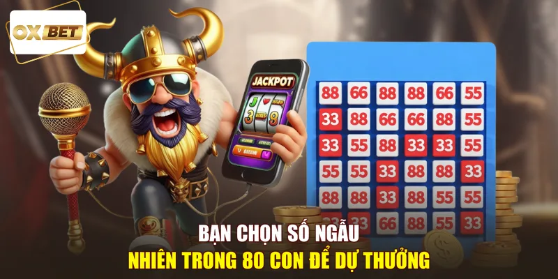 Bạn chọn số ngẫu nhiên trong 80 con để dự thưởng