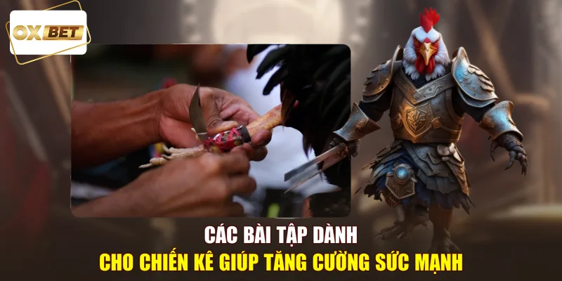 Các bài tập dành cho chiến kê giúp tăng cường sức mạnh