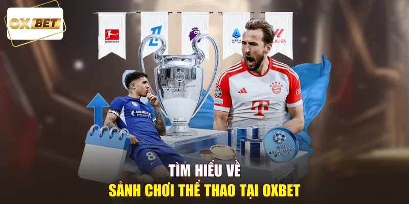 Tìm hiểu về sảnh chơi thể thao tại OXBET